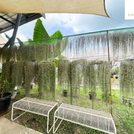 สามอังคารฟาร์ม