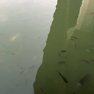 สวนสมเด็จพระศรีนครินทร์ นนทบุรี