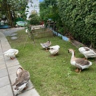 The Ozone Bangkrajao