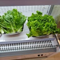 kbbq รังสิต