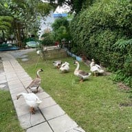 The Ozone Bangkrajao