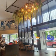 บรรยากาศ 4 Sher Kokotel