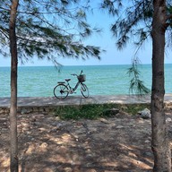 Sweet ToNi Ice cream café