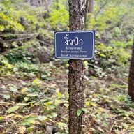 บรรยากาศ ภูเขาหินปะการัง