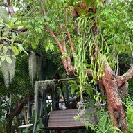 YAI COFFEE N’ BREAD