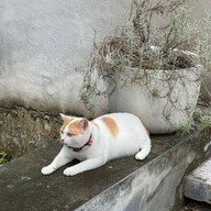 Lost Table Brew & Eatery