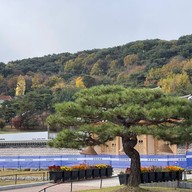 บรรยากาศ Suwon