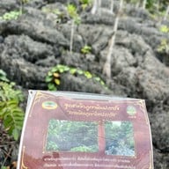 บรรยากาศ ภูเขาหินปะการัง