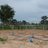 บรรยากาศ ไร่องุ่นศิวริทธิ์