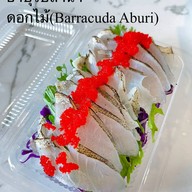 CURING Sashimi & Sushi