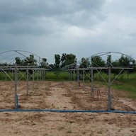 บรรยากาศ ไร่องุ่นศิวริทธิ์