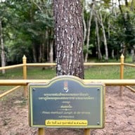 น้ำตกศรีดิษฐ์