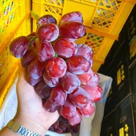 ผลไม้สด Premium fruit บ้านน้องการ์ตูน