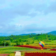 Floryday Khaoyai : Cafe & Flower