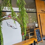 บรู คอฟฟี่