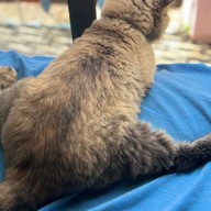 นึก ผลไม้