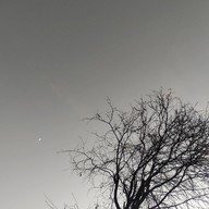 Lamoon Cottage Glamping วังน้ำเขียว