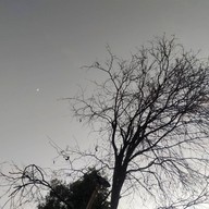 Lamoon Cottage Glamping วังน้ำเขียว