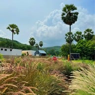 Bamp : Beach camp & Cafe