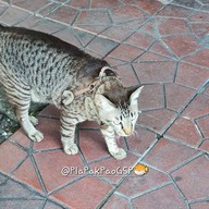 ครัวนพรัตน์ Cuisine And Gallery