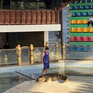 สวนสัตว์เปิด ซาฟารี ปาร์ค