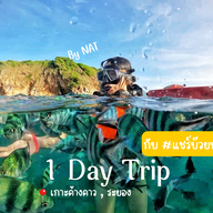 บรรยากาศ แชร์บ๊วยทัวร์ ทริปดำน้ำ เกาะเสม็ด ระยอง