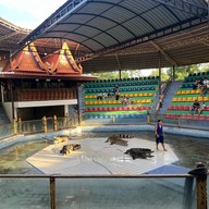 สวนสัตว์เปิด ซาฟารี ปาร์ค