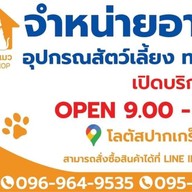 โบ้หมาแมว โลตัสปากเกร็ด นนทบุรี