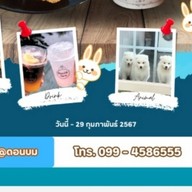 Pavara Prosperity Co., Ltd. สำนักงานใหญ่