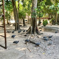 บรรยากาศ วัดลำดวน