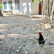 บรรยากาศ วัดลำดวน