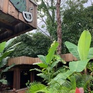Green Always คาเฟ่และธรรมชาติ