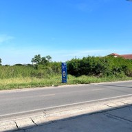 Sunny Side Coffee Roasters