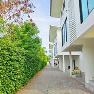 Z - Beach Resort [ ซีบีช รีสอร์ท ]