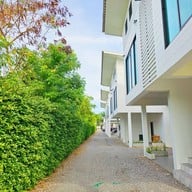 Z - Beach Resort [ ซีบีช รีสอร์ท ]