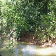 Loving Hut ปากช่อง