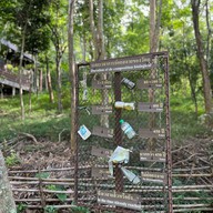 สวนรุกขชาติไพศาลี