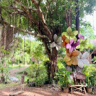 บรรยากาศ สวนรุกขชาติไพศาลี