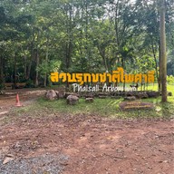 บรรยากาศ สวนรุกขชาติไพศาลี