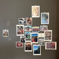 WHAT THE HECKS Coffee Roaster