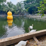 บรรยากาศ ตามธรรมชาติ Cafe' and Farm