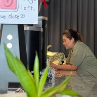 WHAT THE HECKS Coffee Roaster