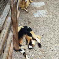 บรรยากาศ ตามธรรมชาติ Cafe' and Farm