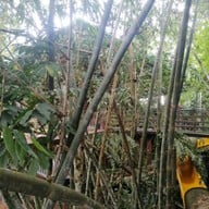 บรรยากาศ ล่องแก่งหนานมดแดง