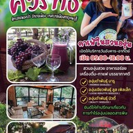 บรรยากาศ ไร่องุ่นศิวริทธิ์