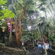 บรรยากาศ ล่องแก่งหนานมดแดง