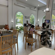 Tungtong cafe’ coffee and milk by rapeeleart wittaya