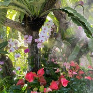 Khunnai Gallery สันป่าตอง