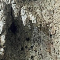 วัดเขาถ้ำคีรีวงค์