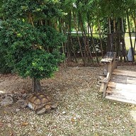 บรรยากาศ สวนอาหารบ้านนาลิน